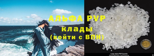 Альфа ПВП Белокуриха
