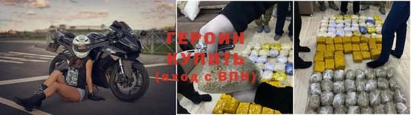 ГАЛЛЮЦИНОГЕННЫЕ ГРИБЫ Белоозёрский