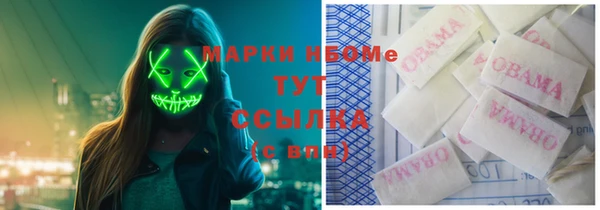 ГАЛЛЮЦИНОГЕННЫЕ ГРИБЫ Белоозёрский
