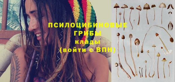 Альфа ПВП Белокуриха