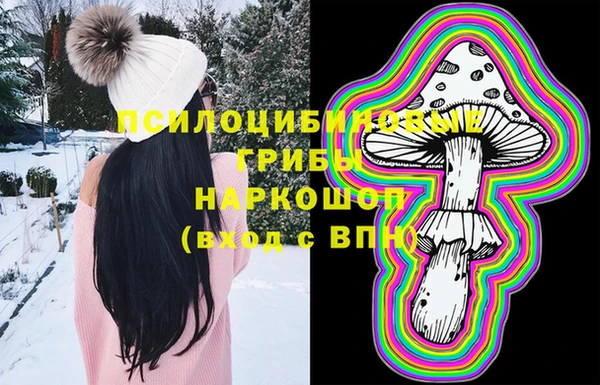 Альфа ПВП Белокуриха