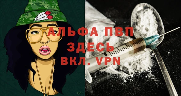 Альфа ПВП Белокуриха