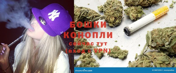 ГАЛЛЮЦИНОГЕННЫЕ ГРИБЫ Белоозёрский