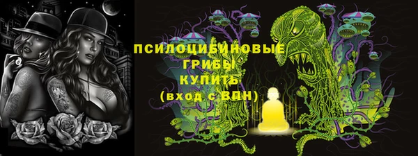 ГАЛЛЮЦИНОГЕННЫЕ ГРИБЫ Белоозёрский