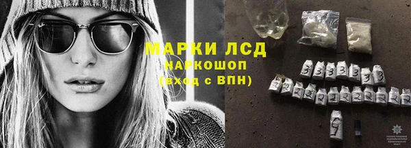 ГАЛЛЮЦИНОГЕННЫЕ ГРИБЫ Беломорск