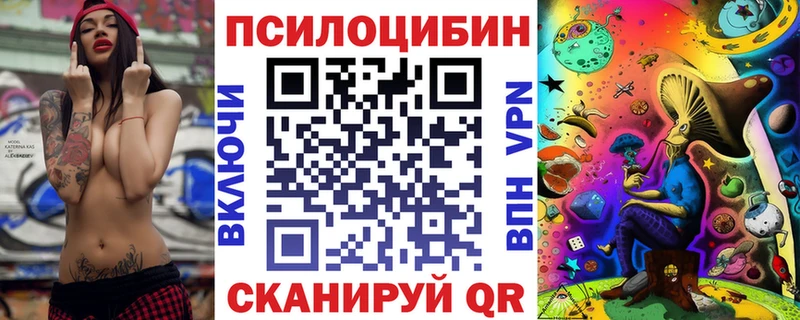 Галлюциногенные грибы Psilocybe Лабинск