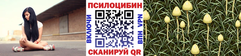 продажа наркотиков  Лабинск  mega ССЫЛКА  Галлюциногенные грибы GOLDEN TEACHER 